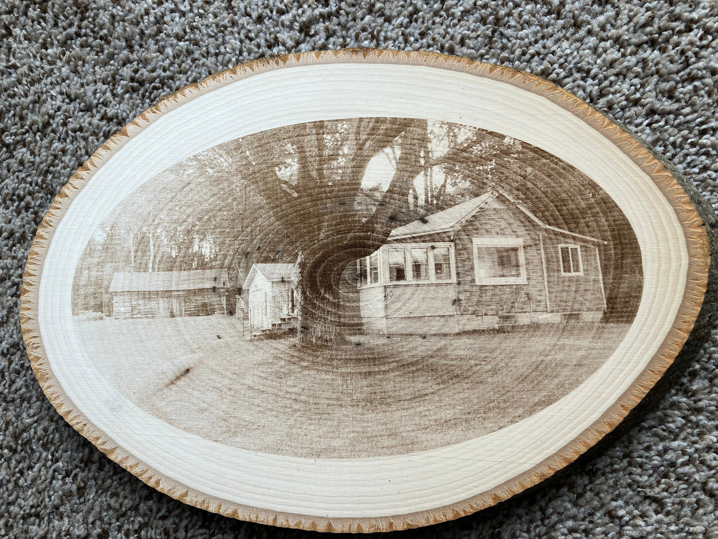 Live Edge Wooden Photo - Memorable Place